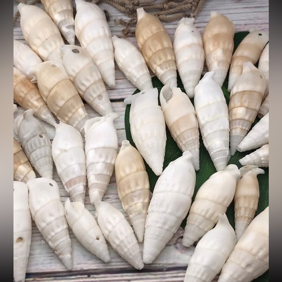 ICICLE SHELLS Cerithium Shells preDrilled HOLES Crafting Jewelry Making DIY Lot - Picture 9 of 13